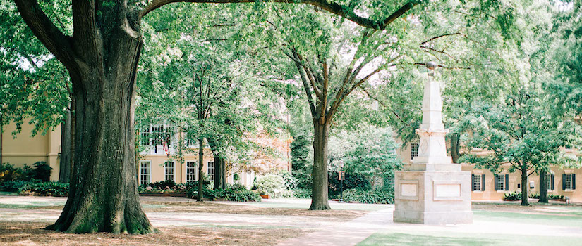 The Horseshoe