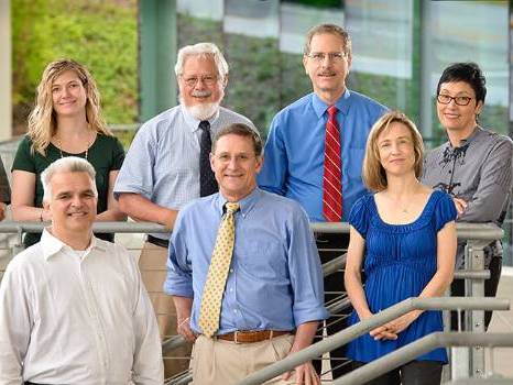 Several faculty fellows